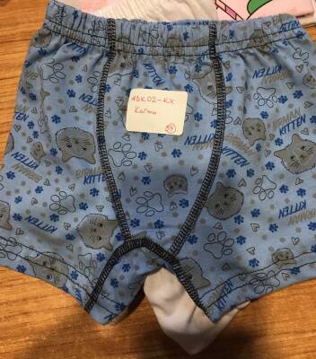 ABK02 Erkek Çocuk Boxer Emprime - (12 Ad.Ürün Fiyatıdır) - 4