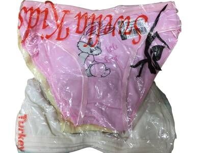AGK01 Kız Çocuk Baskılı Bikini Külot - (12 Ad.Ürün Fiyatıdır) - 2
