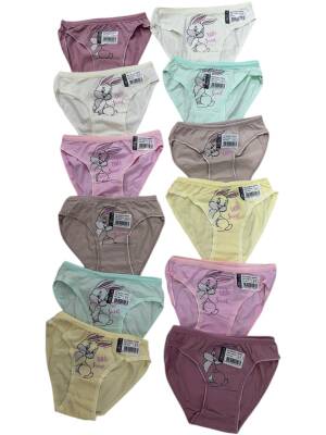 AGK01 Kız Çocuk Baskılı Bikini Külot - (12 Ad.Ürün Fiyatıdır) - 4