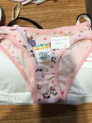 AGK01 Kız Çocuk Baskılı Bikini Külot - (12 Ad.Ürün Fiyatıdır) - 6