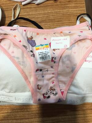 AGK01 Kız Çocuk Baskılı Bikini Külot - (12 Ad.Ürün Fiyatıdır) - 6
